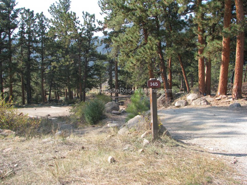 Campsite 145 in Moraine Park Campground at Rocky Mountain National Park